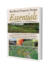 Resilience Property Design Essentials
