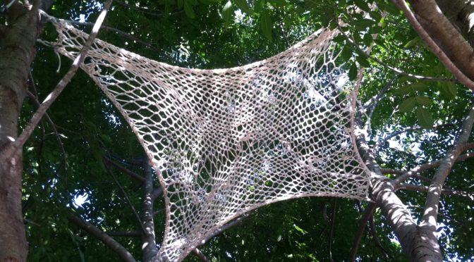 Creating Places: Four Corner Tree Hammock