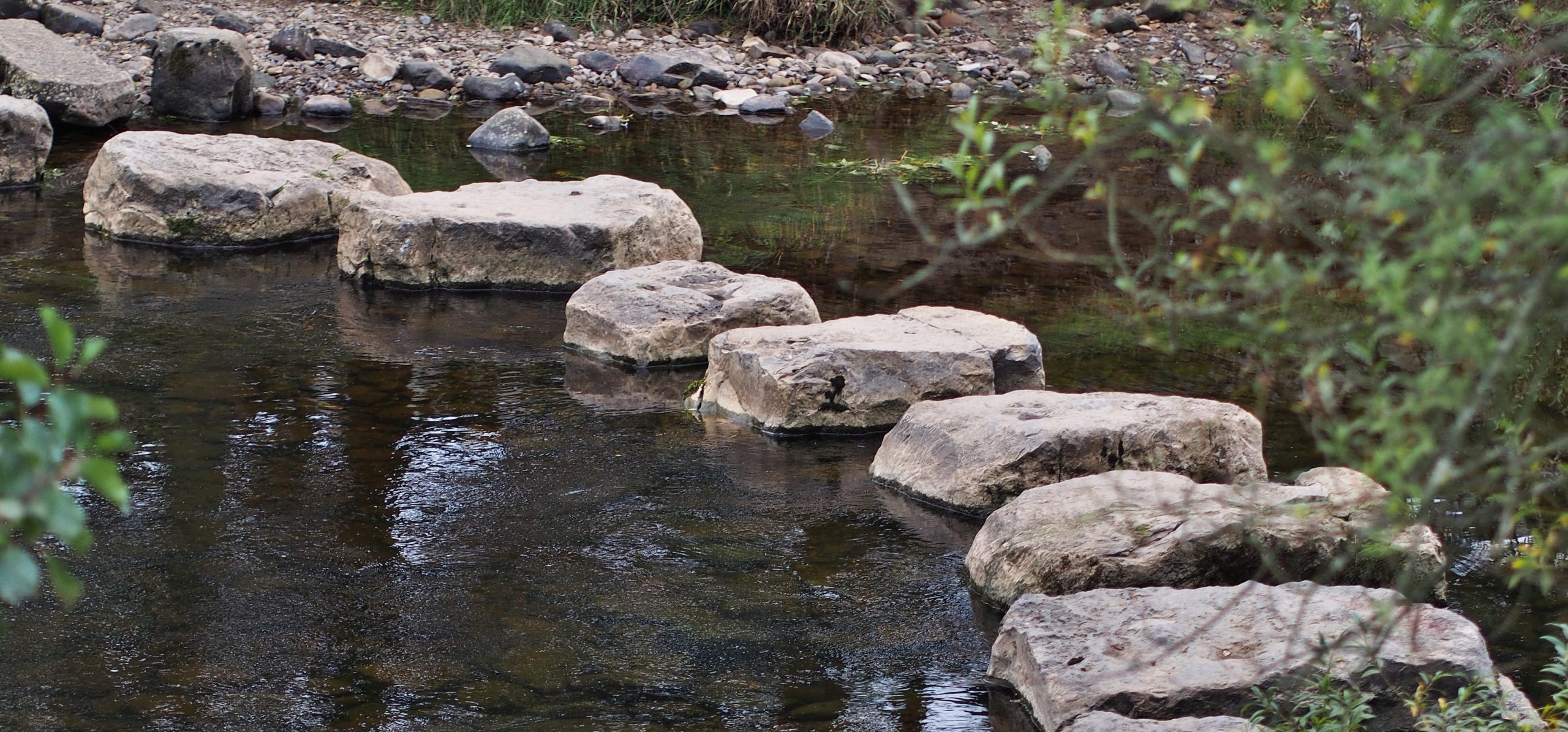 The Chaordic Stepping Stones