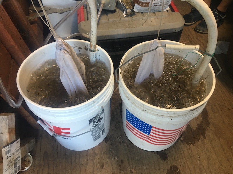 Nutrient Cycling For Homesteads – Part 3: Compost Tea