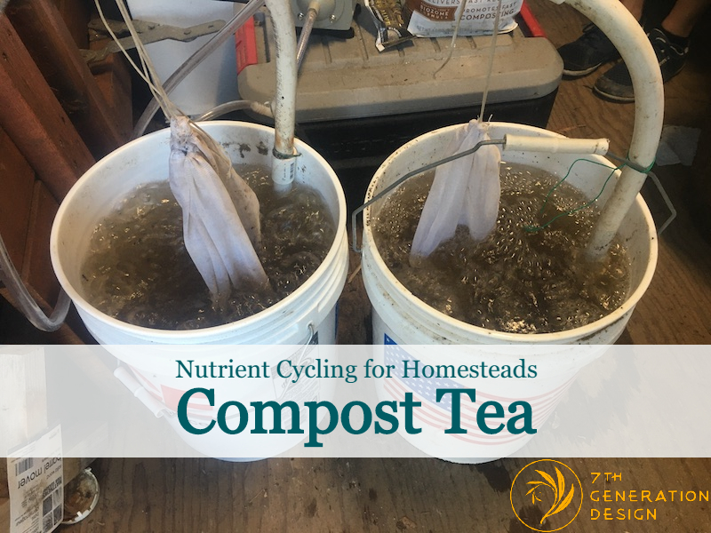 7GD compost tea blog post cover image