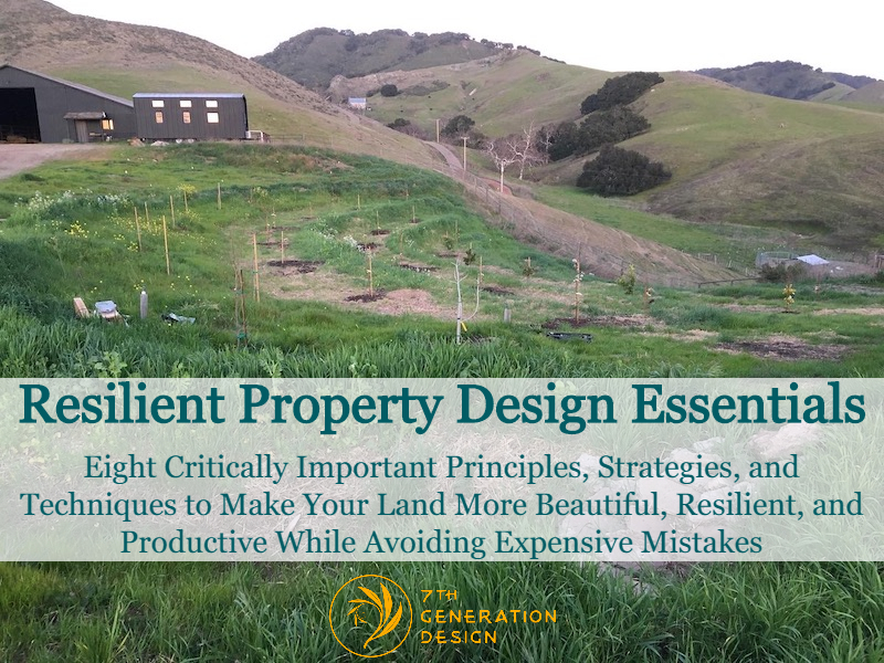 resilient property design essentials cover image