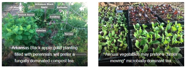 ”compost